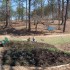 Candler Park Phase 1 After - Right Side