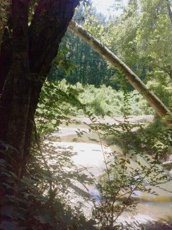 Jena jones  HerbGreen Utoy Creek sand bar