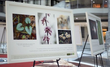 Eco-A photog show _DSC9855