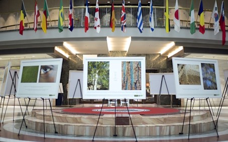 eco-A photo show 3_DSC9856