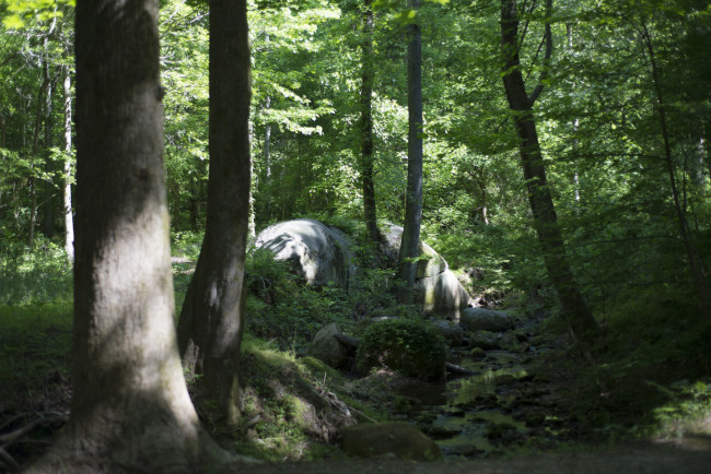 Cascade Springs spring green