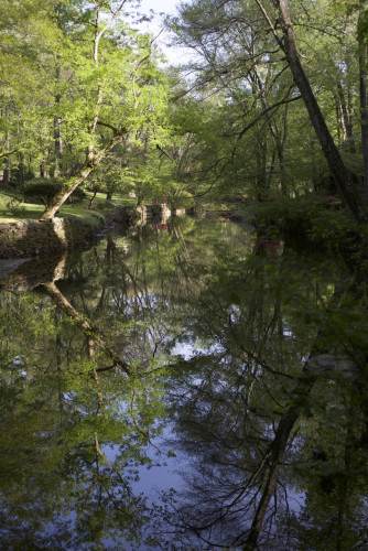 Fischer Mansion Nancy Creek by KKolb