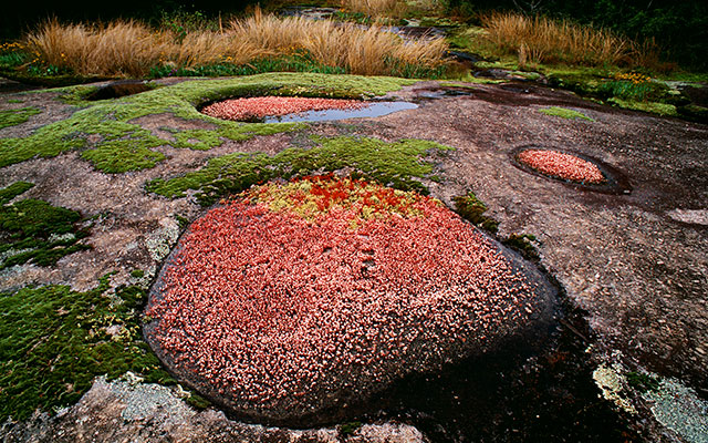 heggies-rock-640x400 ©Marc DelSanto