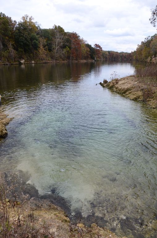 EcoAddendum 3.0Flint River Blue Holes Canoe Trip