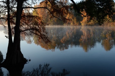 Lower Flint River 3