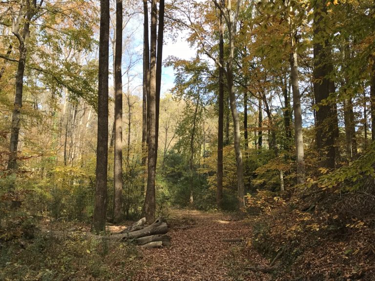 EcoAddendum 3.0Keswick Park, Chamblee